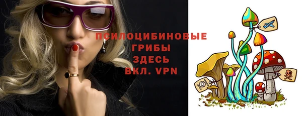 Альфа ПВП Лиски