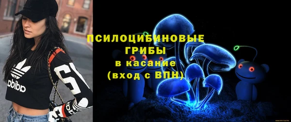 Альфа ПВП Лиски