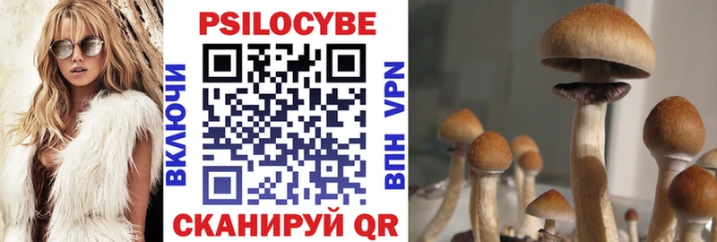 Галлюциногенные грибы Psilocybe Когалым