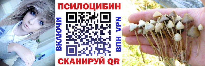 Галлюциногенные грибы Cubensis Купить Когалым